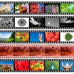 Genie film scanning 35mm 120 5x4