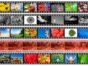 Genie film scanning 35mm 120 5x4